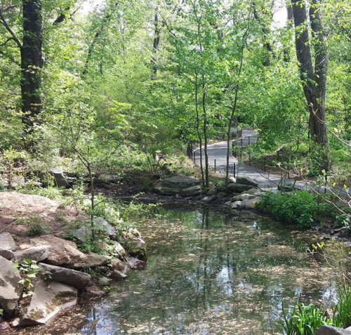 A view of the restored Gill