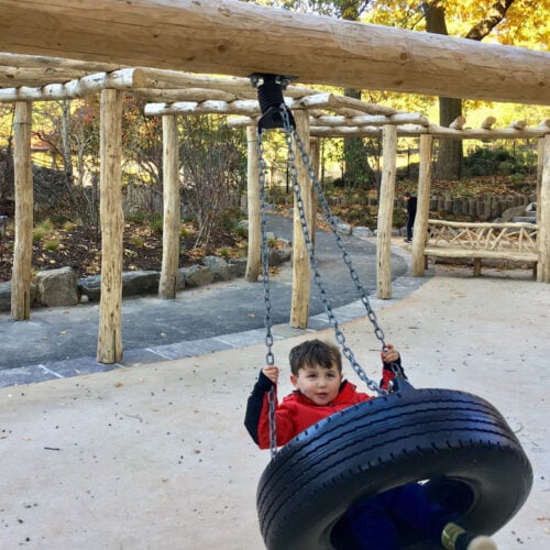 The tire swing after reconstruction