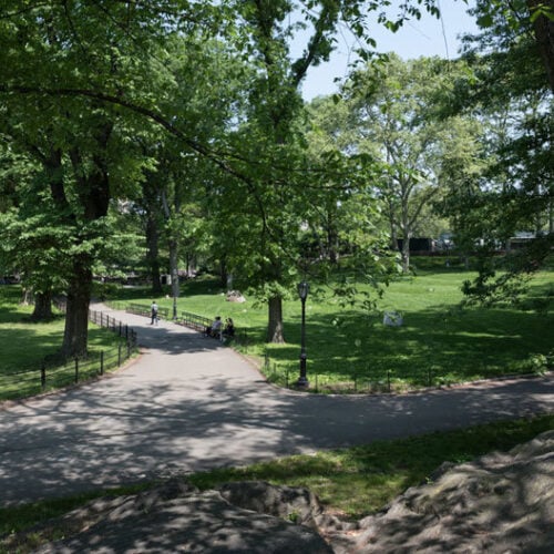 A sun-dappled view of the restored Rumey Playfield and path