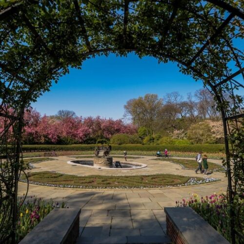 A view of the North Garden seen through a shadowed archway