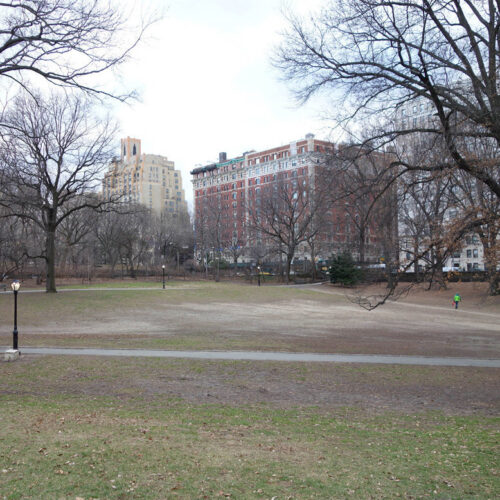 A photo of the landscape in need of restoration