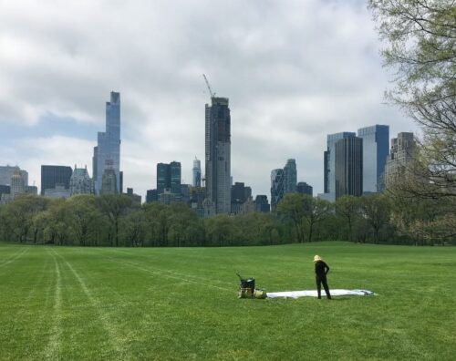 The artist at work on a lawn in Central Park