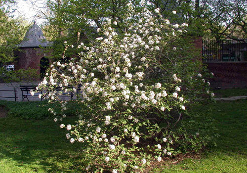 A view of the plant