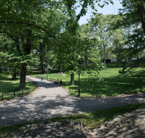 A sun-dappled view of the restored Rumey Playfield and path