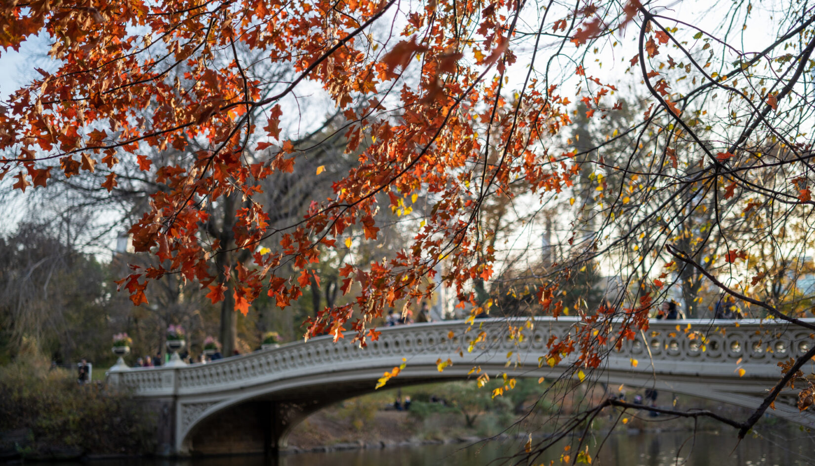 Bow Bridge Fall 20191114 04541