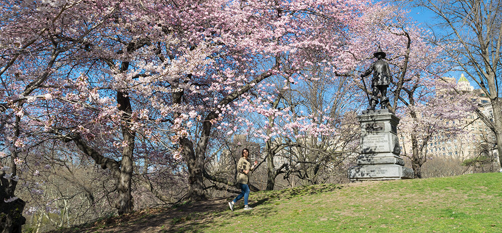 Pilgrim Hill 20190410 008