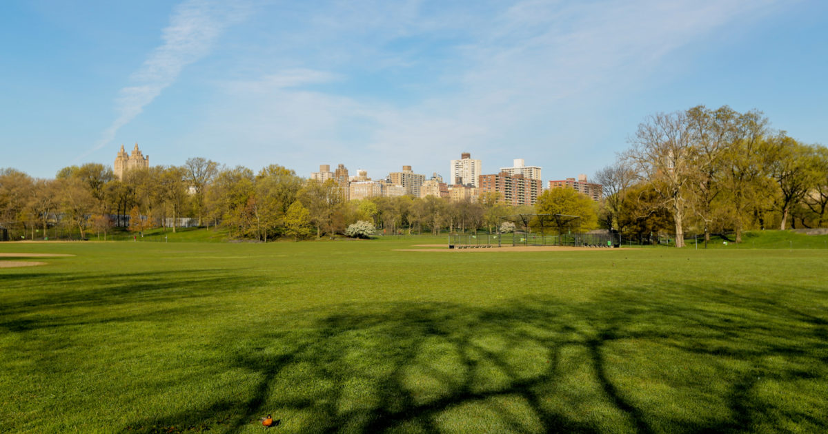 North Meadow Central Park Conservancy