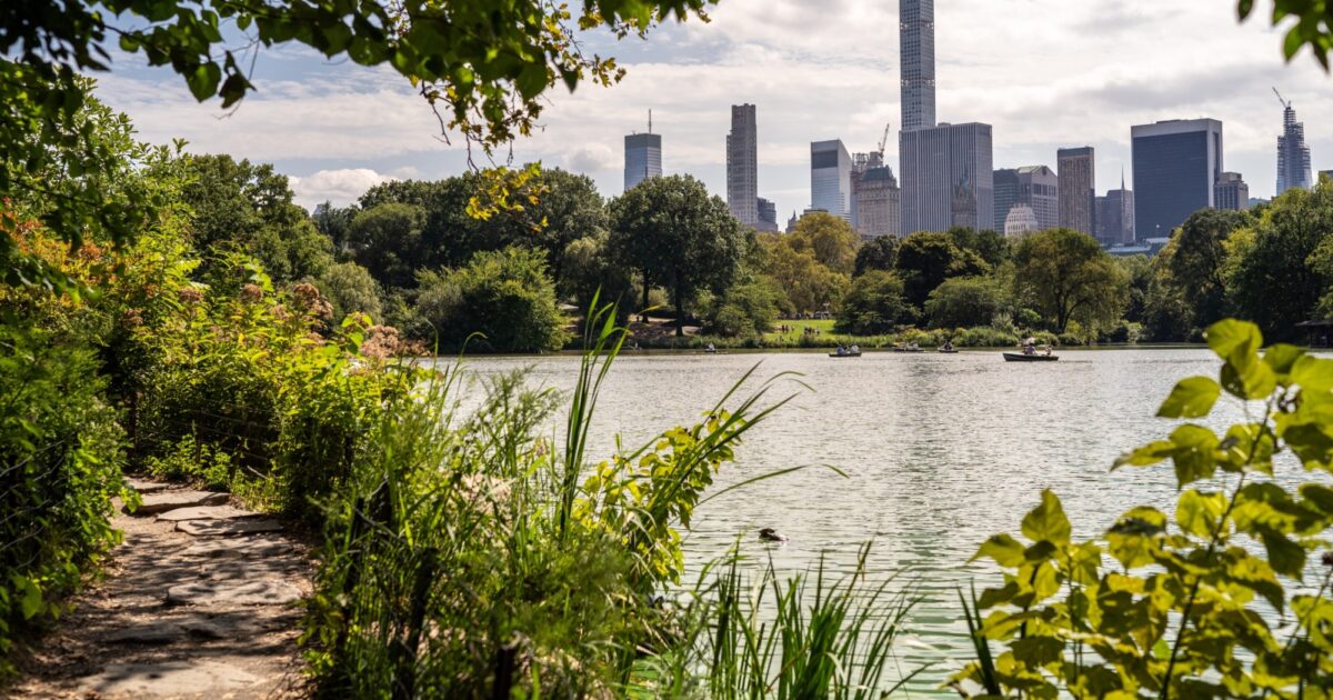 The Lake Central Park Conservancy