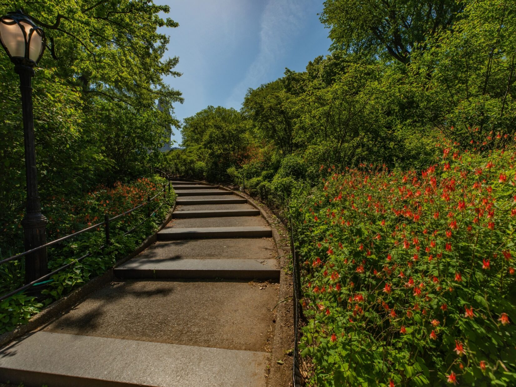 Park Perimeter Central Park Conservancy
