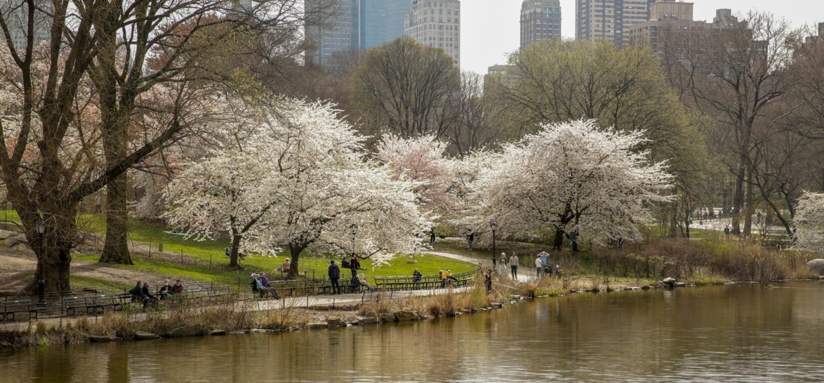 Cherry Hill Central Park Conservancy