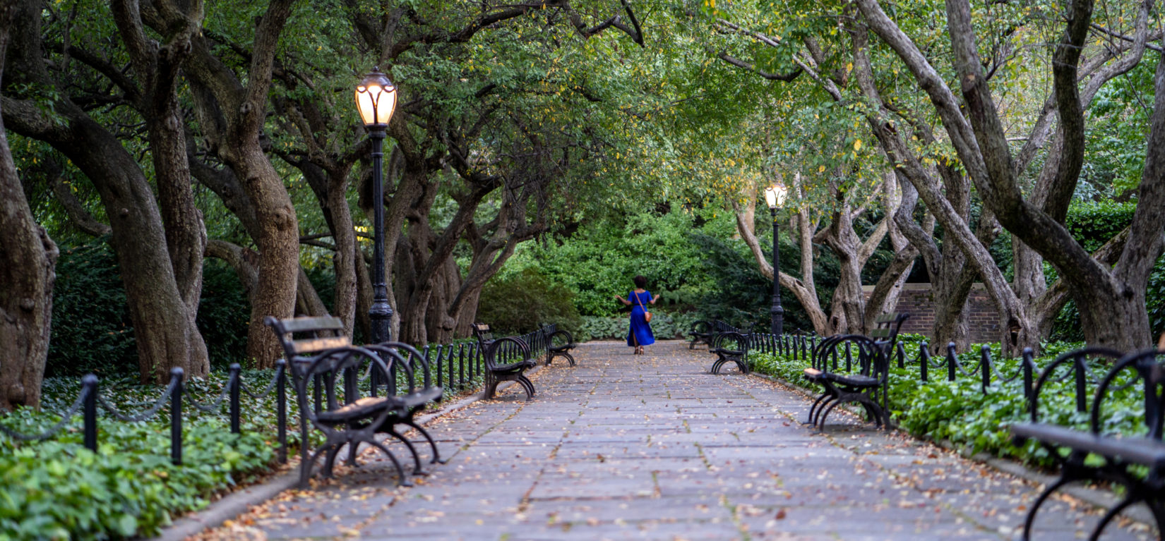 Conservatory Garden Dusk 20190815 03
