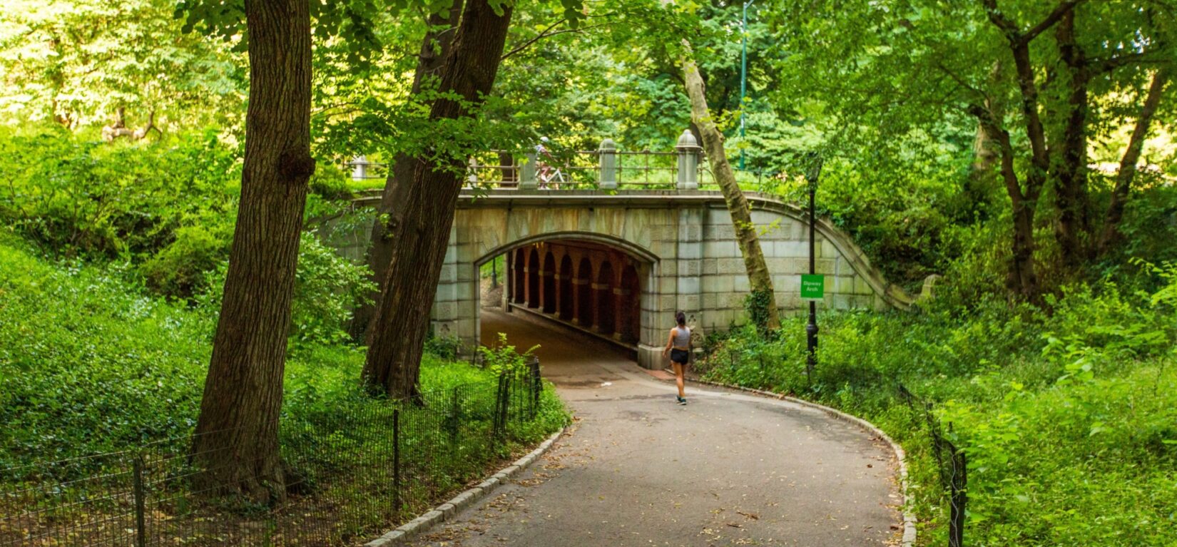 A strolling visitor about to pass beneath the Dipway Arch in summer