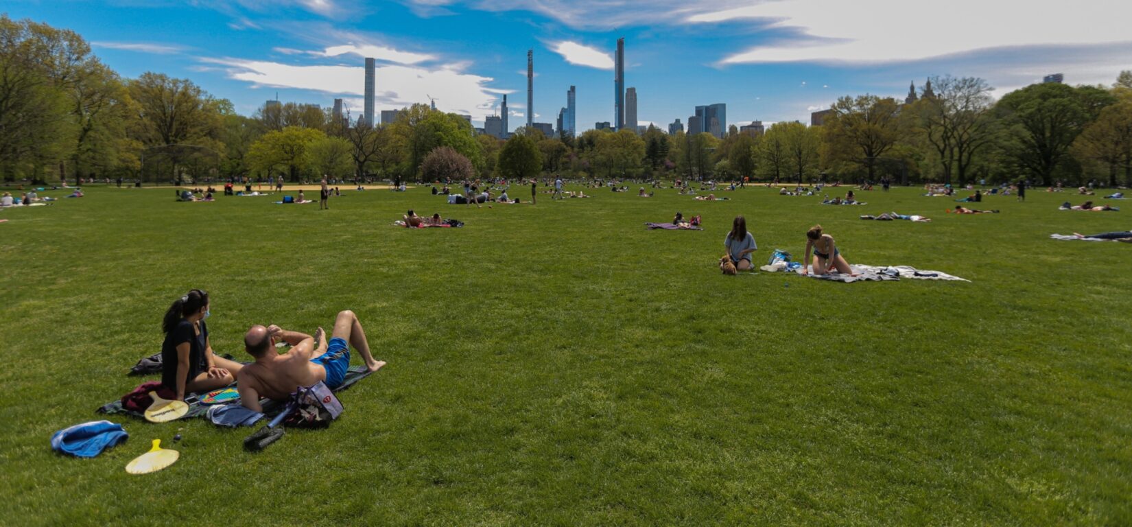 Great Lawn | Central Park Conservancy