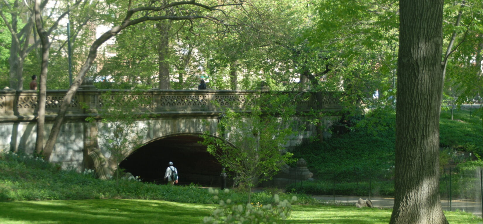A man strolls beneath the span of Greyshot Arch in spring