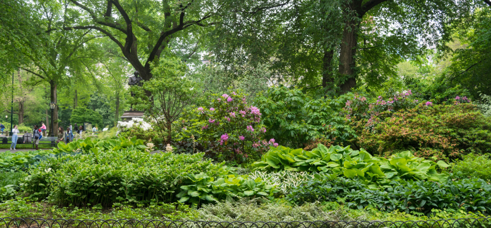 Olmsted Flower Bed 20190529 001