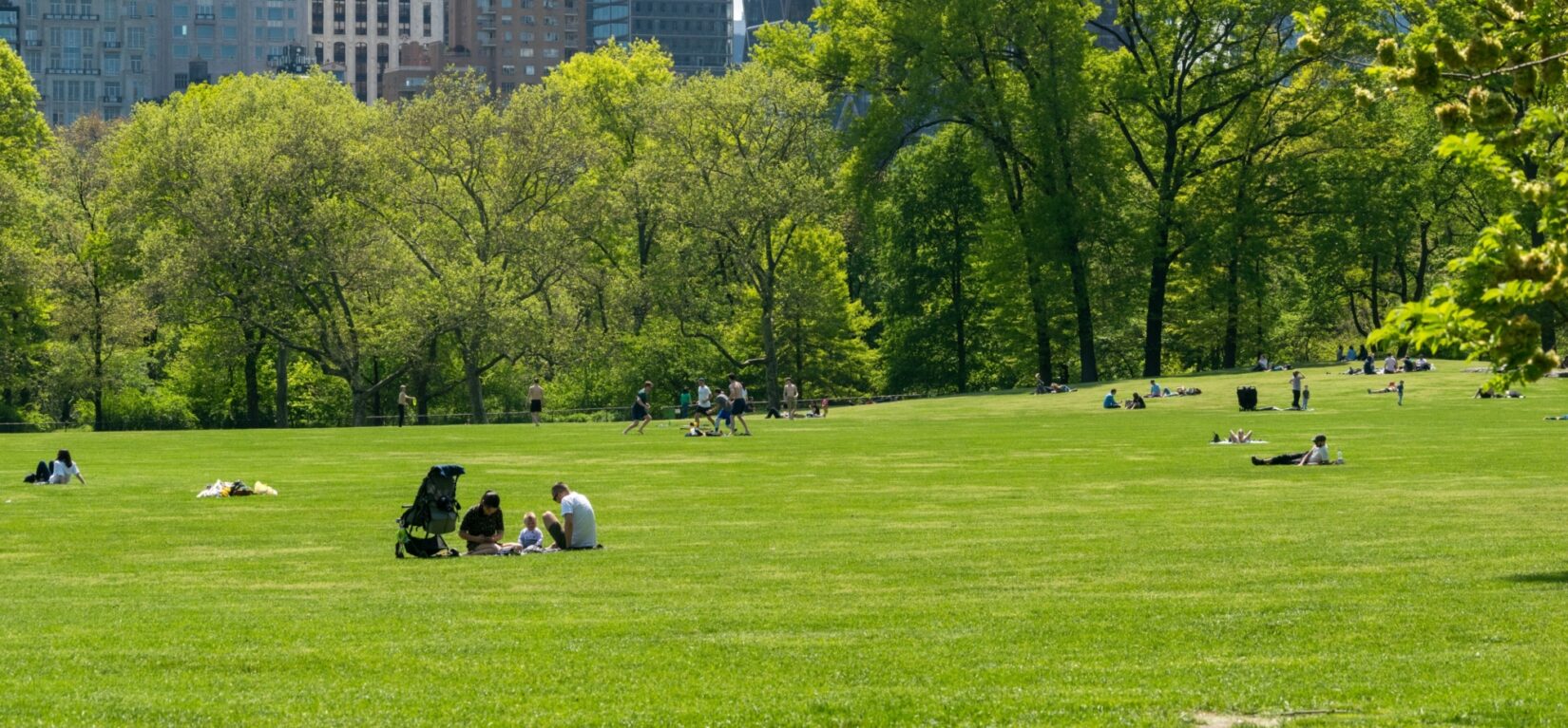 Visitors dot the vivid green lawn of the Sheep Meadow